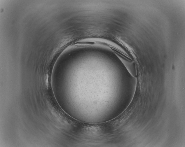 X0000087390067200704271632