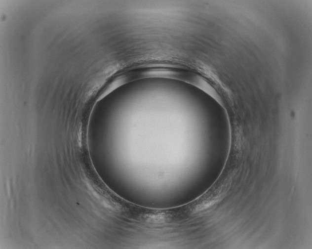 X0000087390068200704271632