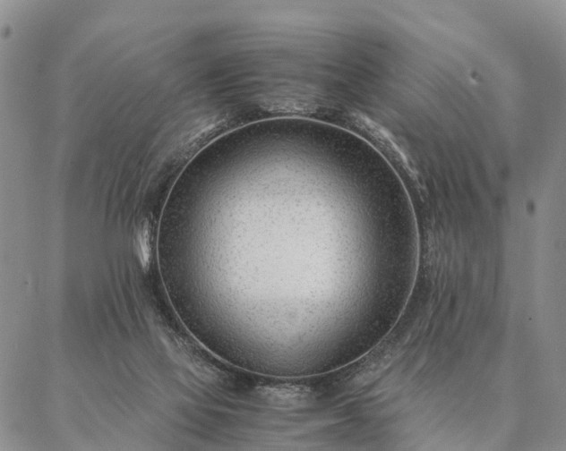 X0000087390069200704271632