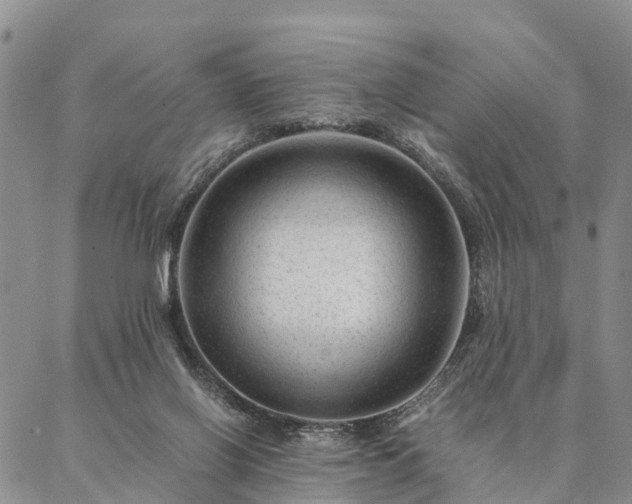 X0000087390070200704271632