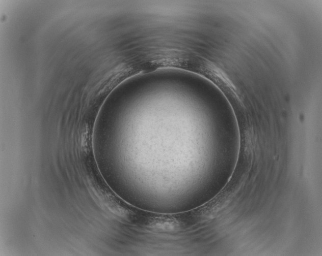 X0000087390073200704271633