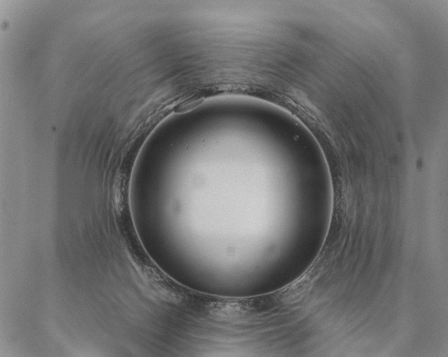 X0000087390074200704271633