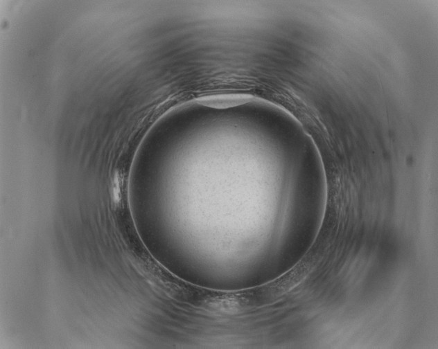 X0000087390075200704271633