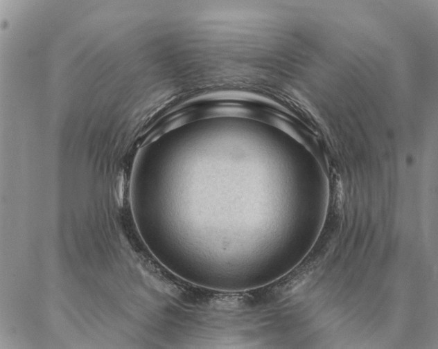 X0000087390076200704271633