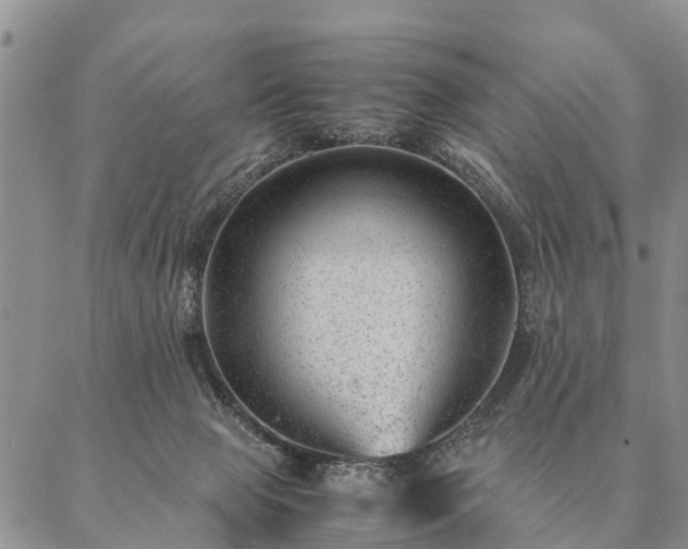 X0000087390077200704271633