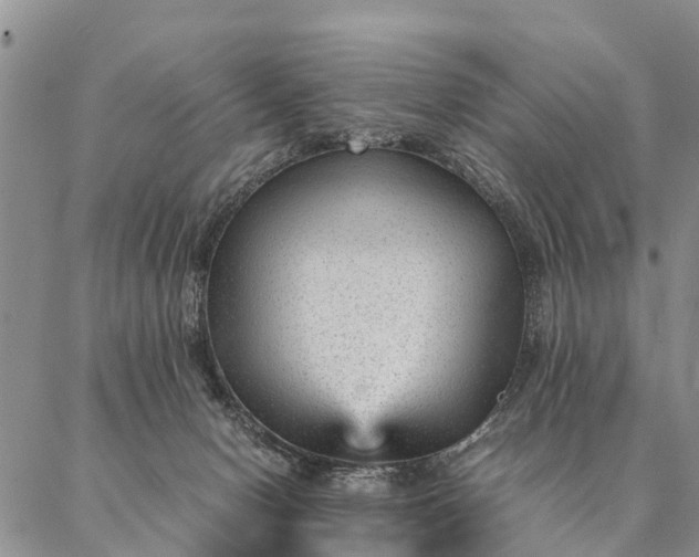 X0000087390078200704271633