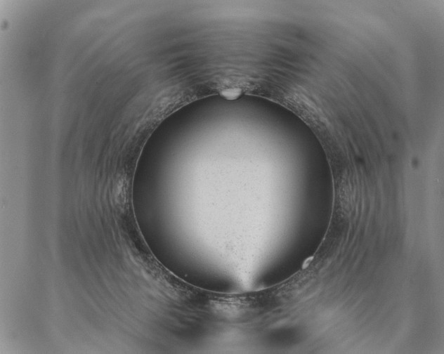 X0000087390079200704271633