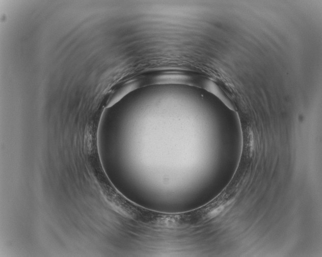 X0000087390080200704271633