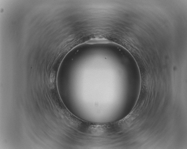 X0000087390082200704271633