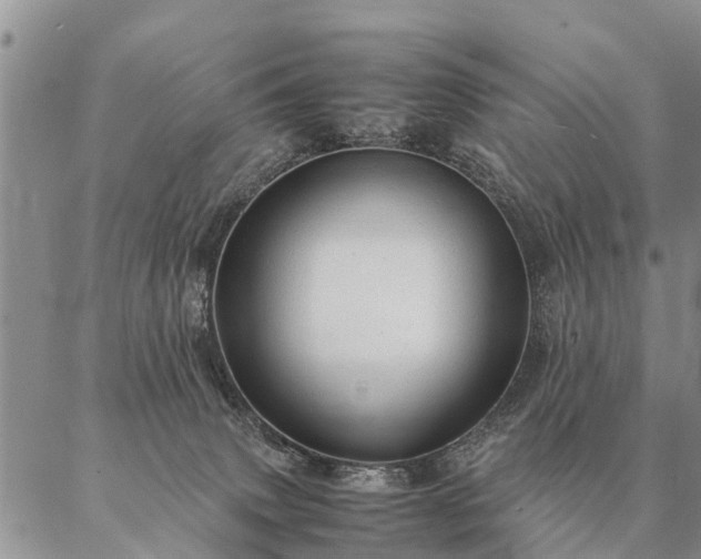 X0000087390083200704271633