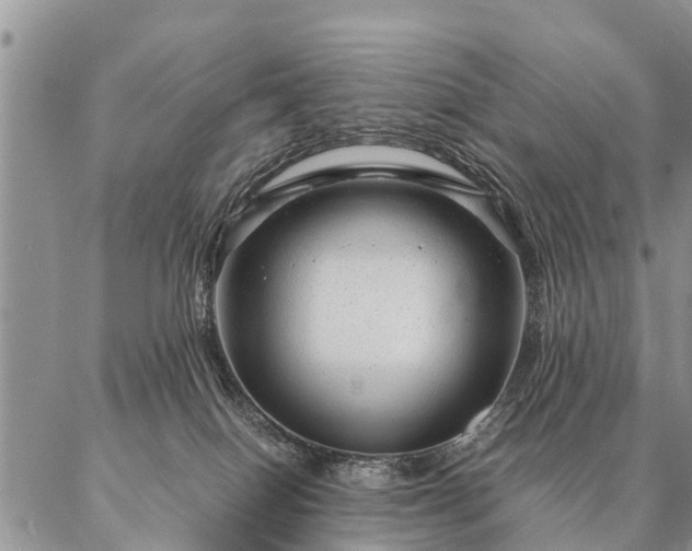 X0000087390086200704271633