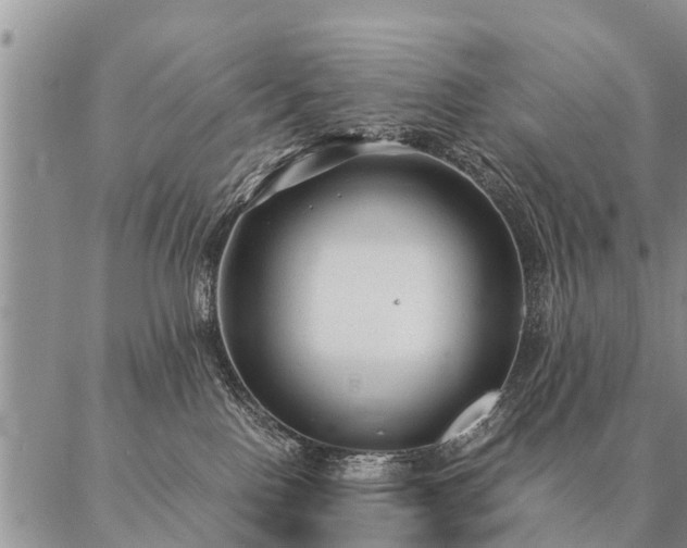 X0000087390090200704271633