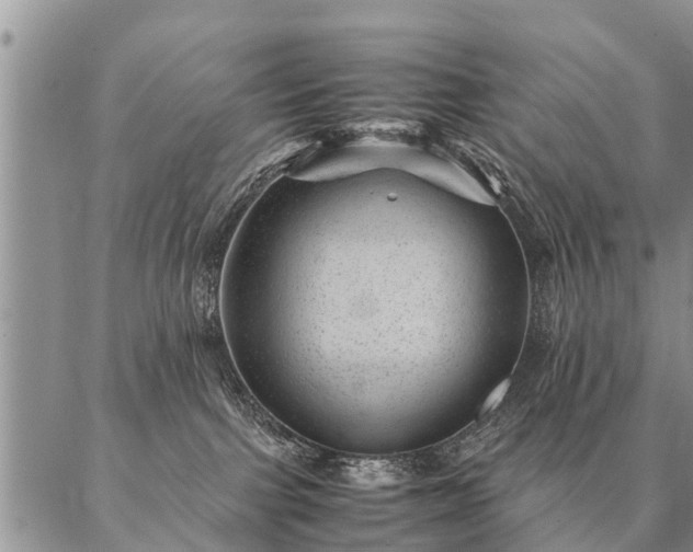 X0000087390091200704271633