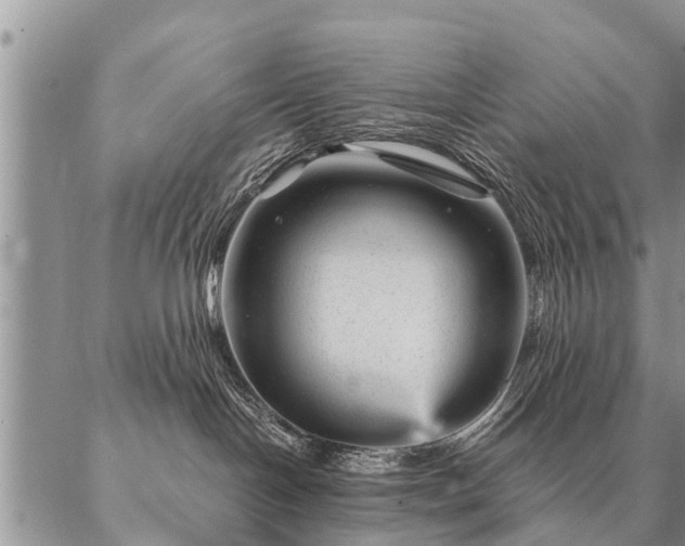 X0000087390094200704271633