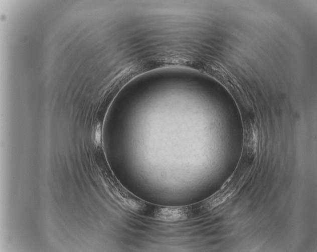 X0000087390095200704271633