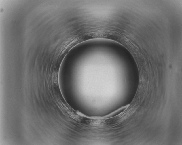 X0000087390096200704271633