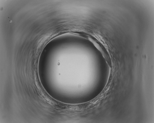 X0000087390097200704271632