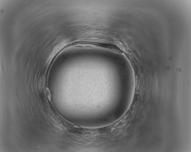 X0000087390099200704271632