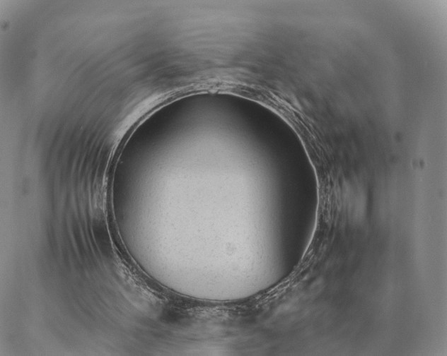 X0000087390100200704271632