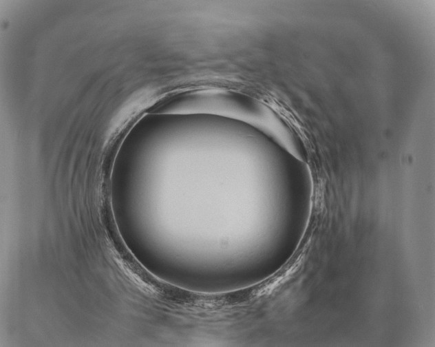 X0000087390101200704271632