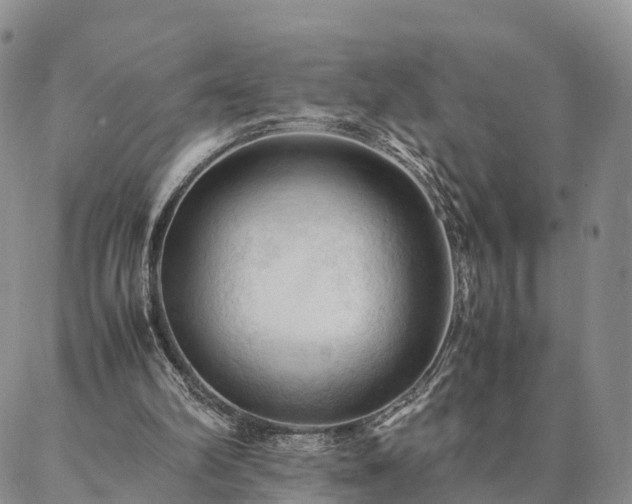 X0000087390102200704271632