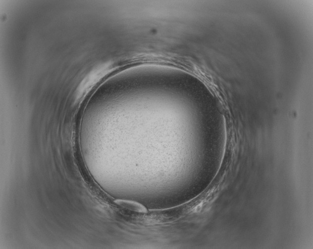 X0000087390103200704271632