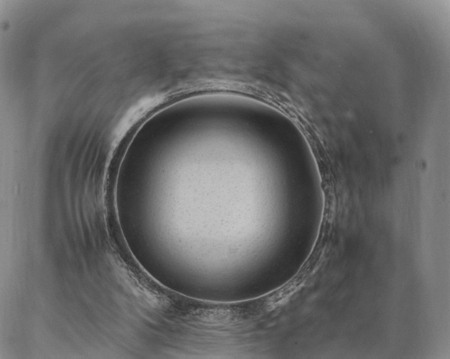 X0000087390104200704271632