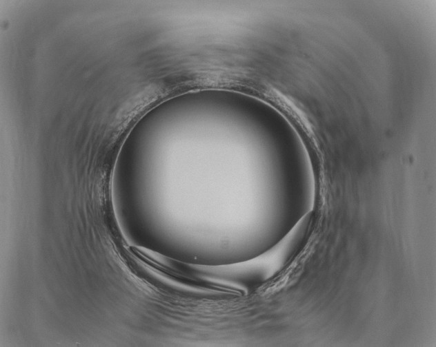 X0000087390105200704271632