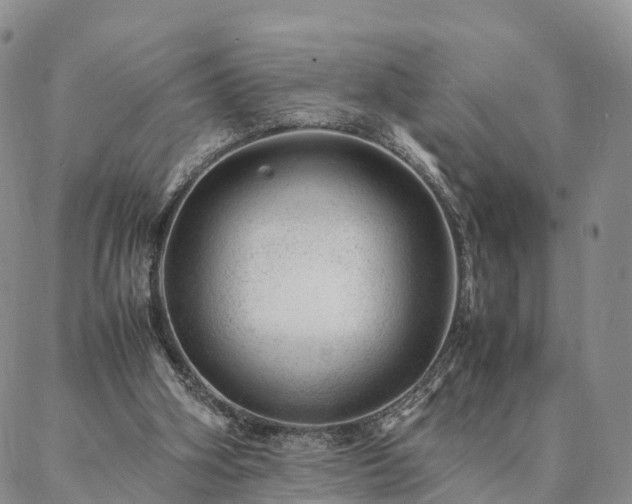 X0000087390106200704271632