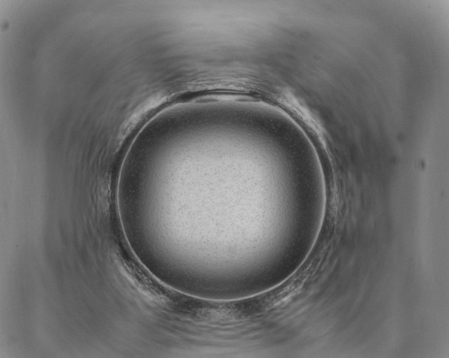 X0000087390107200704271632