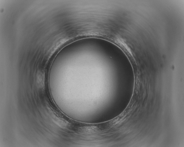 X0000087390108200704271632