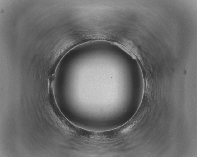 X0000087390109200704271632