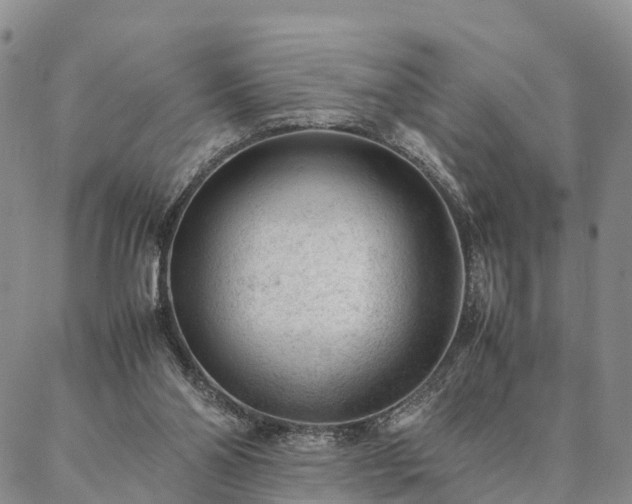 X0000087390110200704271632