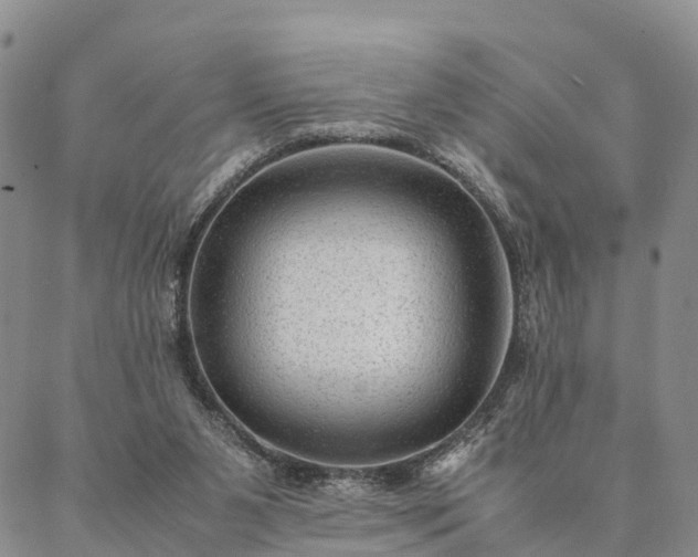 X0000087390111200704271632