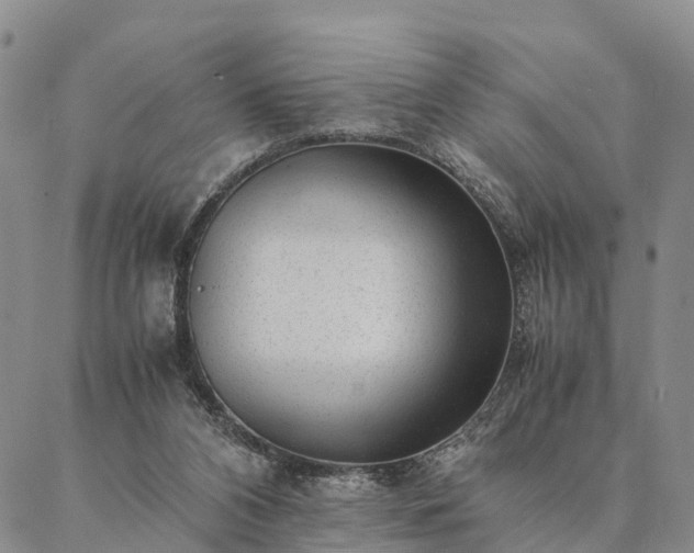 X0000087390112200704271632