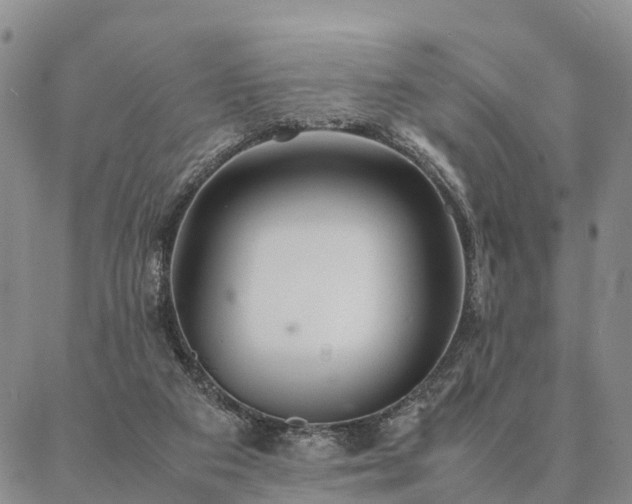 X0000087390113200704271632