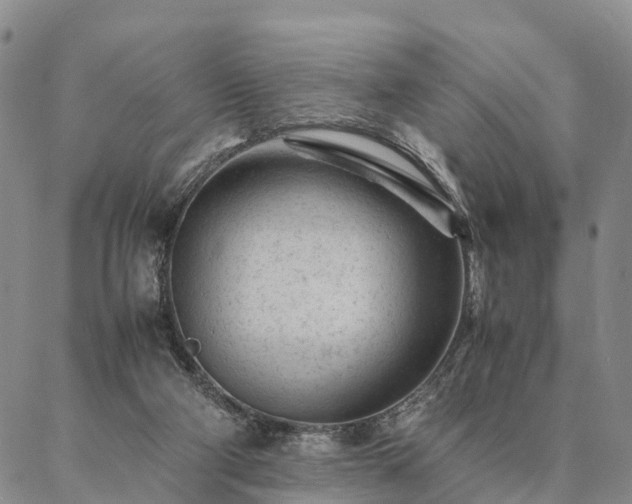 X0000087390114200704271632