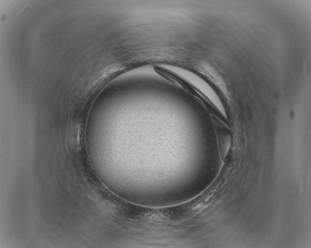 X0000087390115200704271632