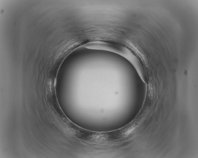 X0000087390117200704271632