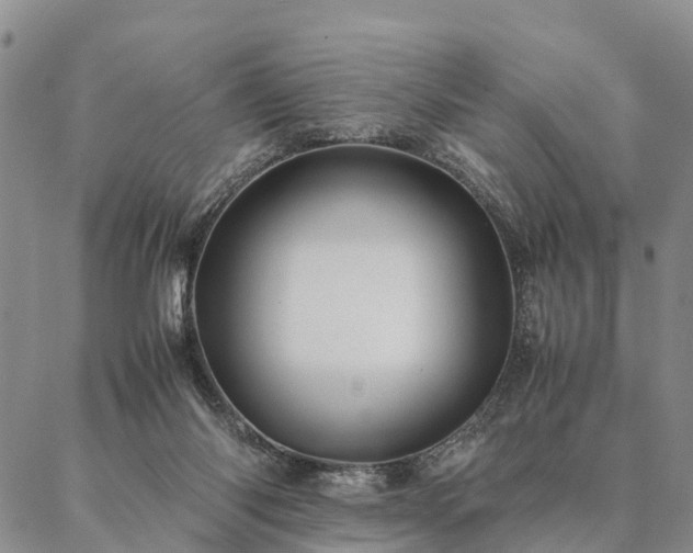 X0000087390118200704271632