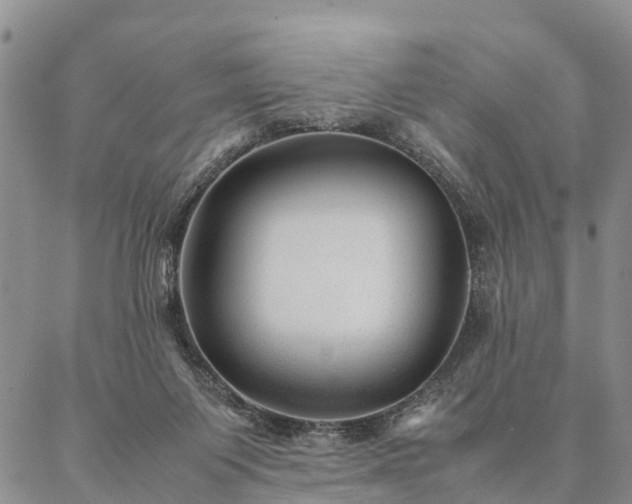 X0000087390119200704271632