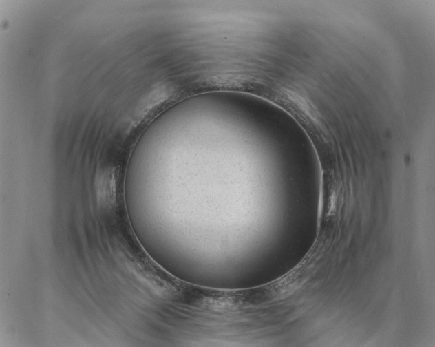 X0000087390120200704271632