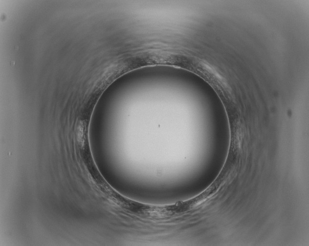 X0000087390121200704271632