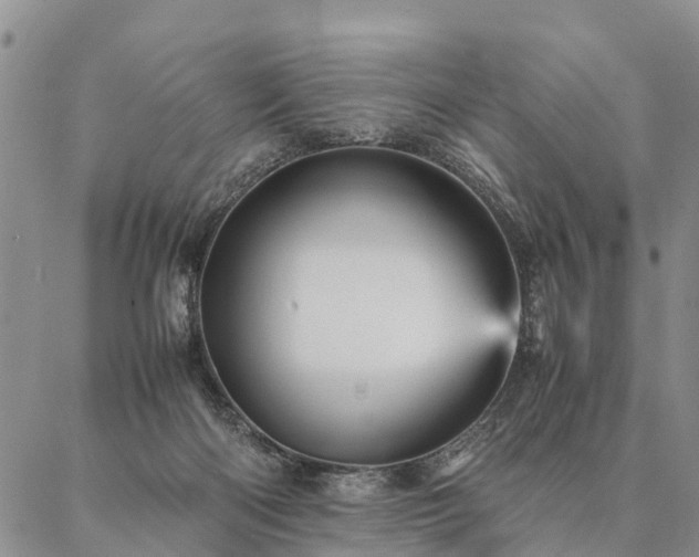 X0000087390122200704271632