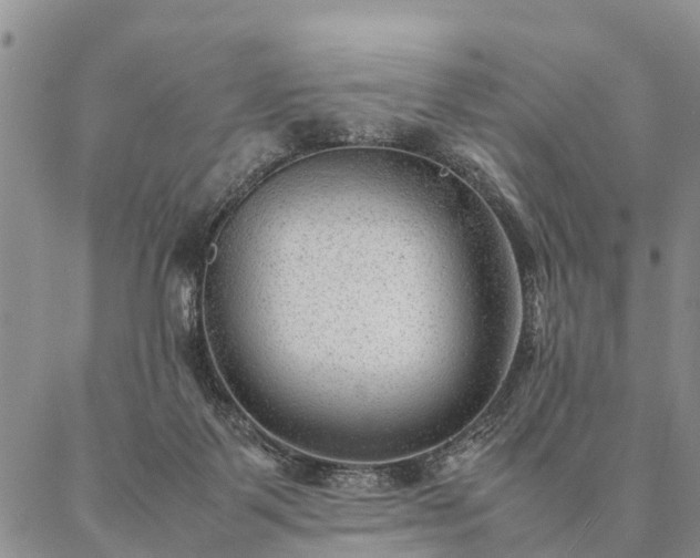 X0000087390123200704271632