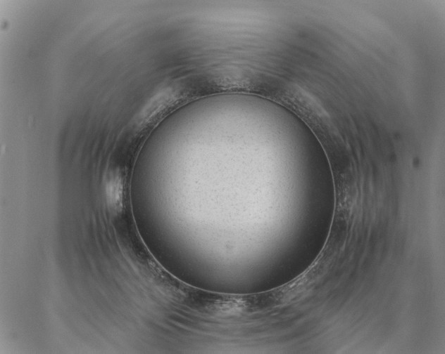 X0000087390124200704271632