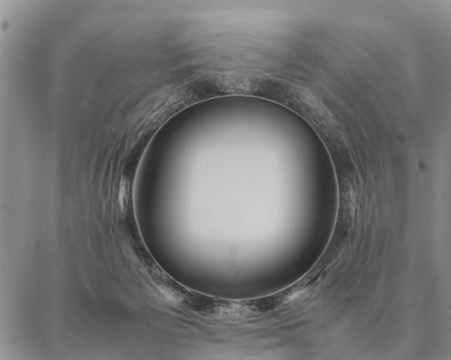 X0000087390125200704271632