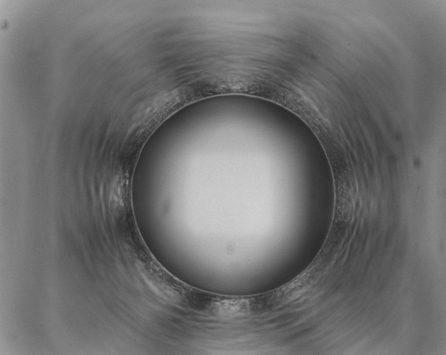 X0000087390126200704271632