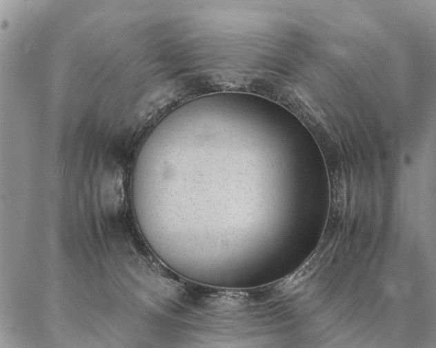 X0000087390128200704271632