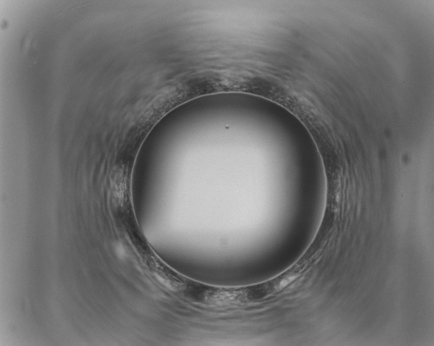 X0000087390129200704271632